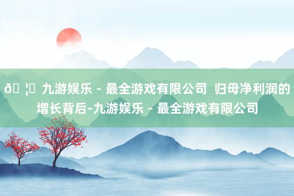 🦄九游娱乐 - 最全游戏有限公司  归母净利润的增长背后-九游娱乐 - 最全游戏有限公司